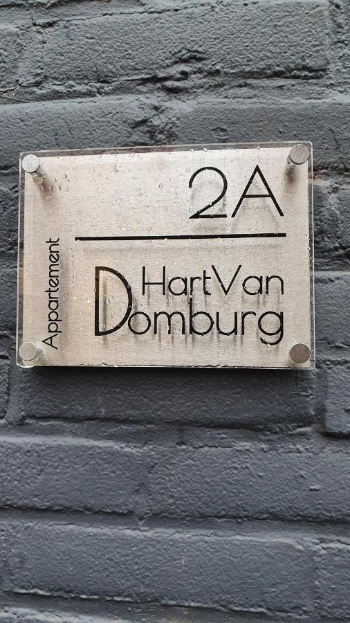 Schitterend appartement HartVanDomburg Buitenkant foto